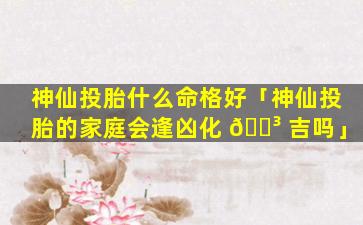 神仙投胎什么命格好「神仙投胎的家庭会逢凶化 🌳 吉吗」